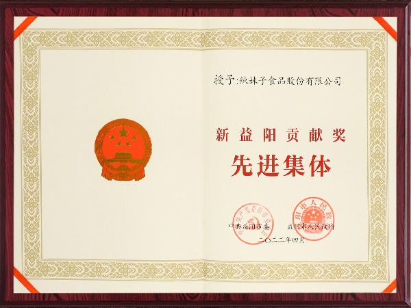 新益陽貢獻(xiàn)獎(jiǎng)先進(jìn)集體2022