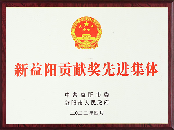 新益陽貢獻(xiàn)獎(jiǎng)先進(jìn)集體2022年